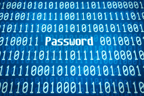 Computer Code Password Theft